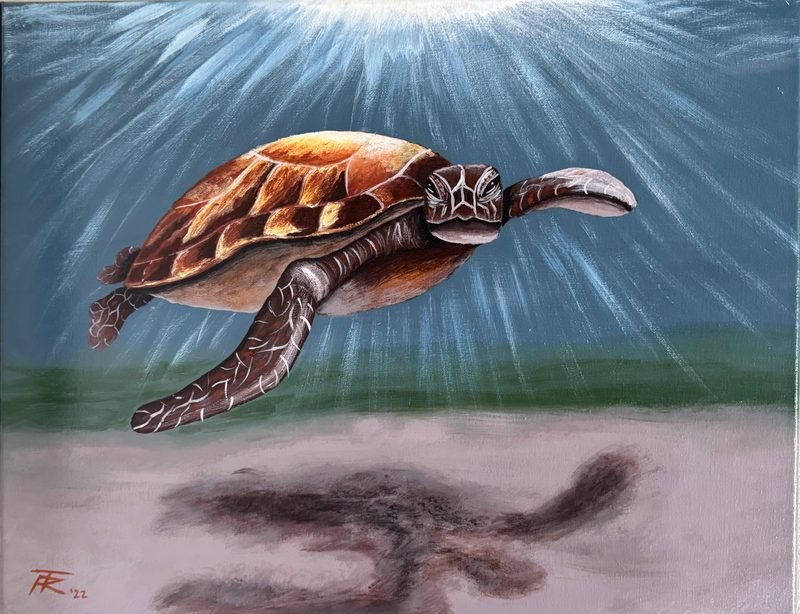 Sea turtle swimming through rays of light, its shadow on the sand below