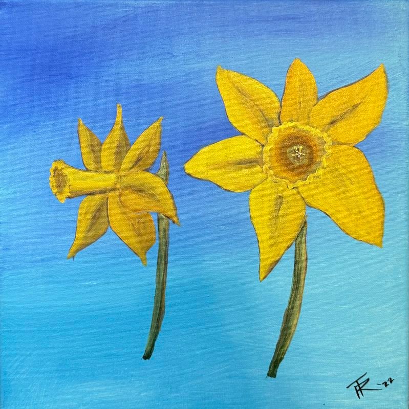 Two yellow daffodils on a blue background